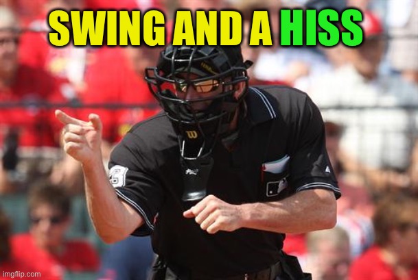 Umpire | SWING AND A HISS | image tagged in umpire | made w/ Imgflip meme maker