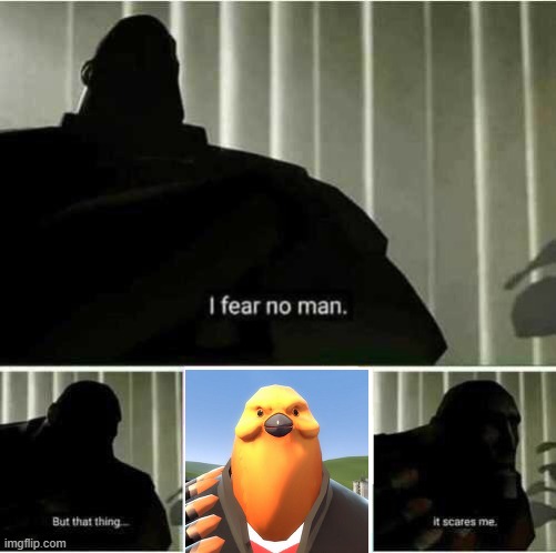 Pootis | image tagged in i fear no man,memes | made w/ Imgflip meme maker