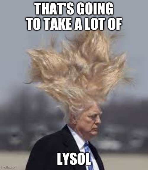 Trump Hair | THAT'S GOING TO TAKE A LOT OF LYSOL | image tagged in trump hair | made w/ Imgflip meme maker