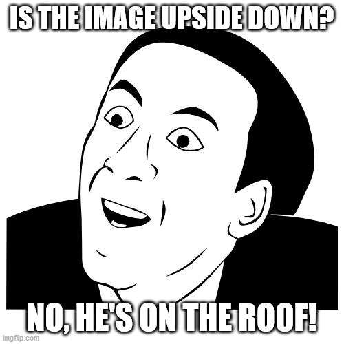 you don't say | IS THE IMAGE UPSIDE DOWN? NO, HE'S ON THE ROOF! | image tagged in you don't say | made w/ Imgflip meme maker