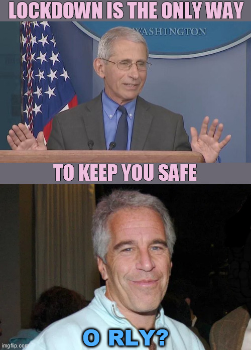 Nothing's for Granted | LOCKDOWN IS THE ONLY WAY; TO KEEP YOU SAFE; O RLY? | image tagged in memes,dr fauci,jeffrey epstein,coronavirus | made w/ Imgflip meme maker