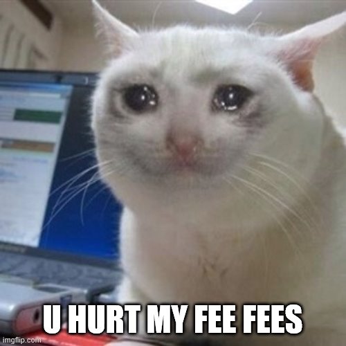 Crying cat | U HURT MY FEE FEES | image tagged in crying cat | made w/ Imgflip meme maker