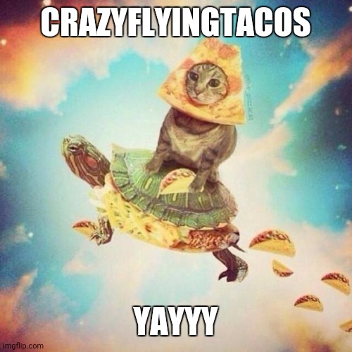 Space Pizza Cat Turtle Tacos | CRAZYFLYINGTACOS YAYYY | image tagged in space pizza cat turtle tacos | made w/ Imgflip meme maker