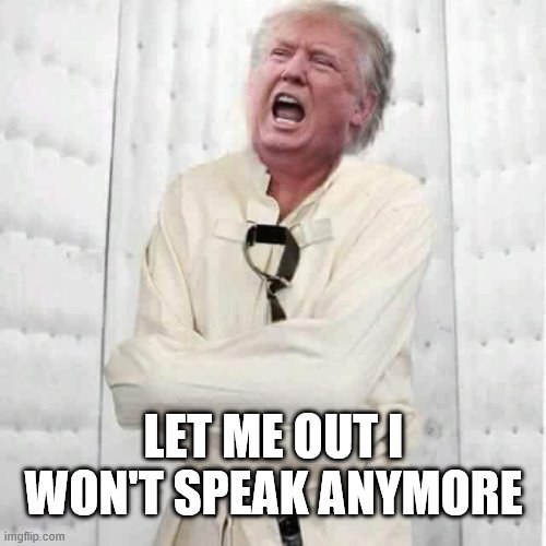 crazy trump | LET ME OUT I WON'T SPEAK ANYMORE | image tagged in crazy trump | made w/ Imgflip meme maker