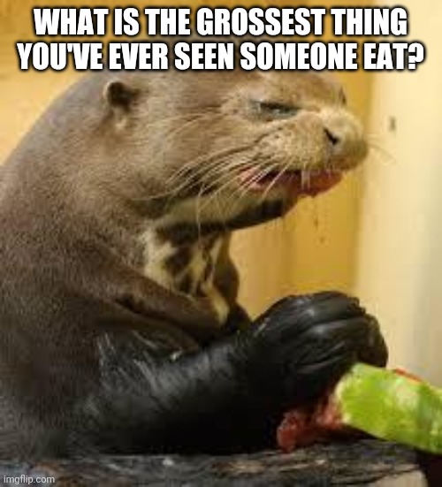 Disgusted Otter | WHAT IS THE GROSSEST THING YOU'VE EVER SEEN SOMEONE EAT? | image tagged in disgusted otter | made w/ Imgflip meme maker