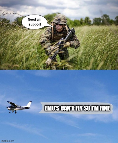 Close Air Support | EMU'S CAN'T FLY SO I'M FINE | image tagged in close air support | made w/ Imgflip meme maker
