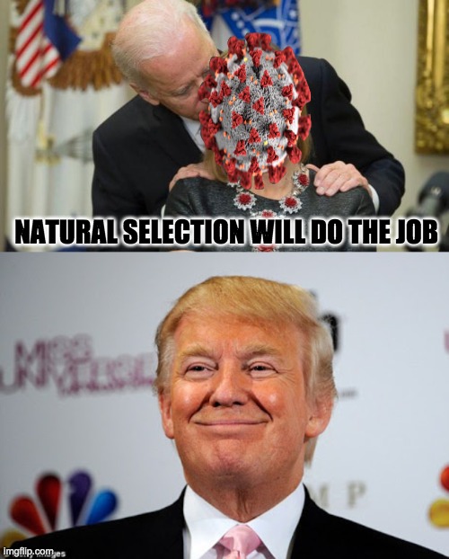 Natural Selection | NATURAL SELECTION WILL DO THE JOB | image tagged in creepy joe biden,donald trump approves,funny,memes,2020 elections,coronavirus | made w/ Imgflip meme maker