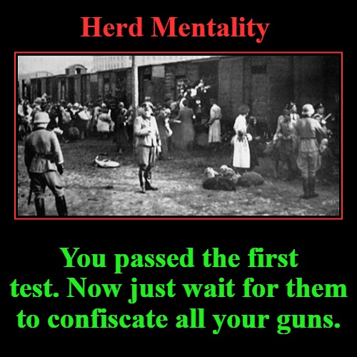 Herd Mentality | Herd Mentality | You passed the first test. Now just wait for them to confiscate all your guns. | image tagged in demotivationals,covid-19,quarantine,social distancing,globalists,pandemic hoax | made w/ Imgflip demotivational maker