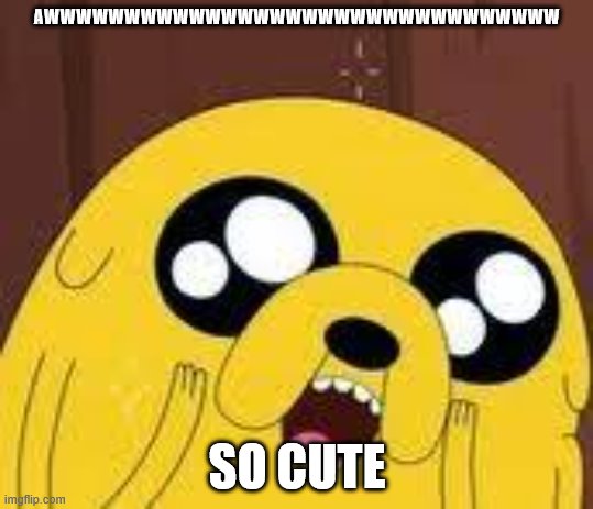 LE GASP | AWWWWWWWWWWWWWWWWWWWWWWWWWWWWWWWW SO CUTE | image tagged in le gasp | made w/ Imgflip meme maker