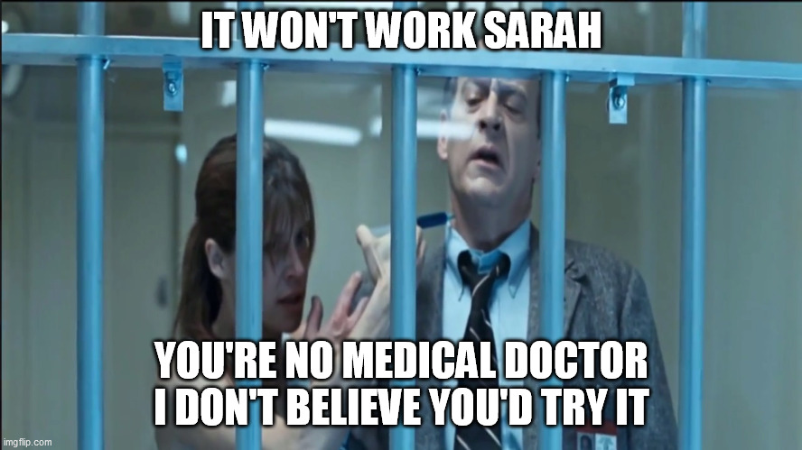 It Won't Work Sarah | IT WON'T WORK SARAH; YOU'RE NO MEDICAL DOCTOR
I DON'T BELIEVE YOU'D TRY IT | image tagged in t2,coronavirus | made w/ Imgflip meme maker