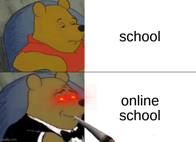 Tuxedo Winnie The Pooh | school; online school | image tagged in memes,tuxedo winnie the pooh | made w/ Imgflip meme maker
