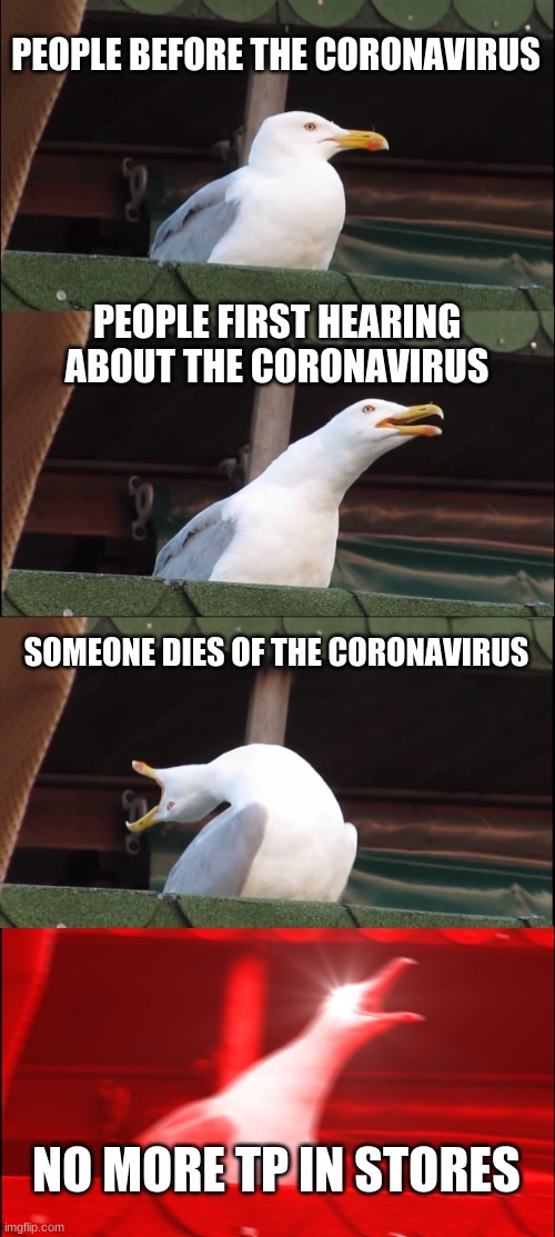 Inhaling Seagull | PEOPLE BEFORE THE CORONAVIRUS; PEOPLE FIRST HEARING ABOUT THE CORONAVIRUS; SOMEONE DIES OF THE CORONAVIRUS; NO MORE TP IN STORES | image tagged in memes,inhaling seagull | made w/ Imgflip meme maker