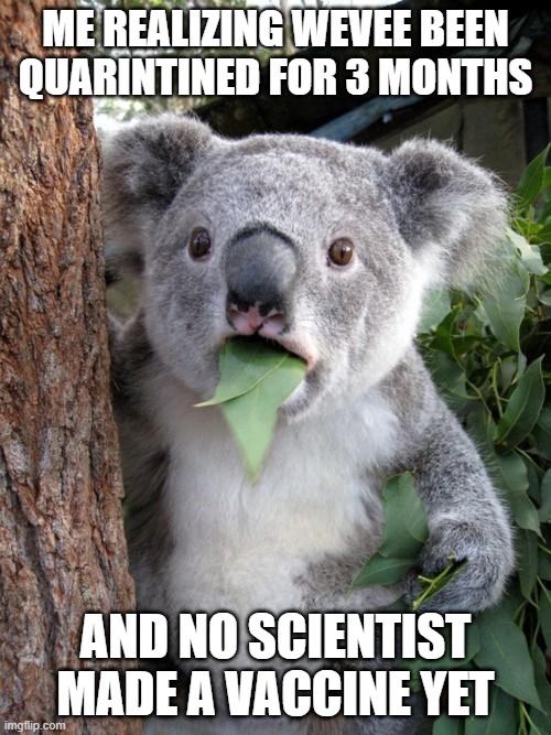Surprised Koala Meme | ME REALIZING WEVEE BEEN QUARINTINED FOR 3 MONTHS; AND NO SCIENTIST MADE A VACCINE YET | image tagged in memes,surprised koala | made w/ Imgflip meme maker