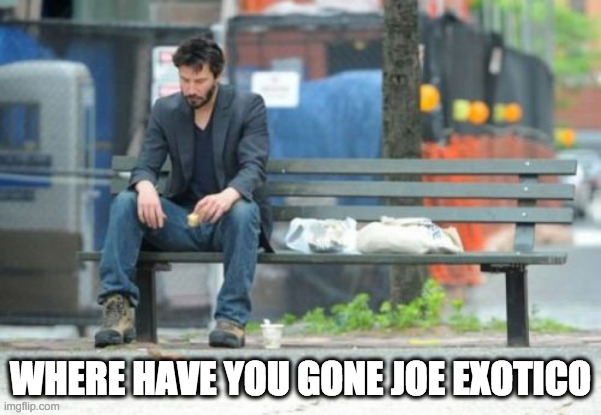 Our nation turns its lonely eyes to you | WHERE HAVE YOU GONE JOE EXOTICO | image tagged in memes,sad keanu | made w/ Imgflip meme maker