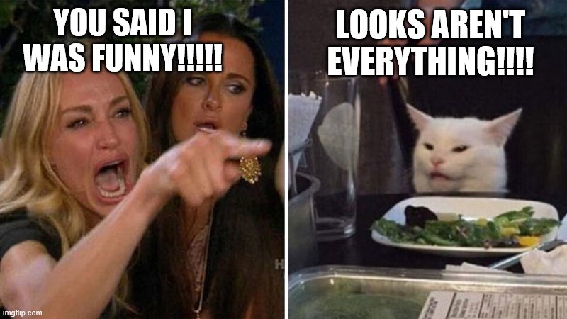 you said i was funny!!!! | LOOKS AREN'T EVERYTHING!!!! YOU SAID I WAS FUNNY!!!!! | image tagged in crying woman vs cat | made w/ Imgflip meme maker