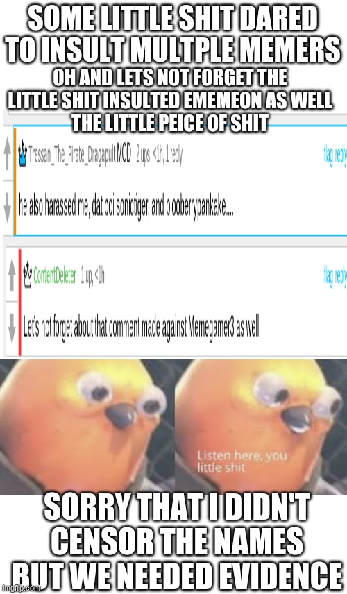 WHAT THE ACTUAL F | OH AND LETS NOT FORGET THE LITTLE SHIT INSULTED EMEMEON AS WELL
THE LITTLE PEICE OF SHIT; SOME LITTLE SHIT DARED TO INSULT MULTPLE MEMERS; SORRY THAT I DIDN'T CENSOR THE NAMES BUT WE NEEDED EVIDENCE | image tagged in blank white template,listen here you little shit bird | made w/ Imgflip meme maker