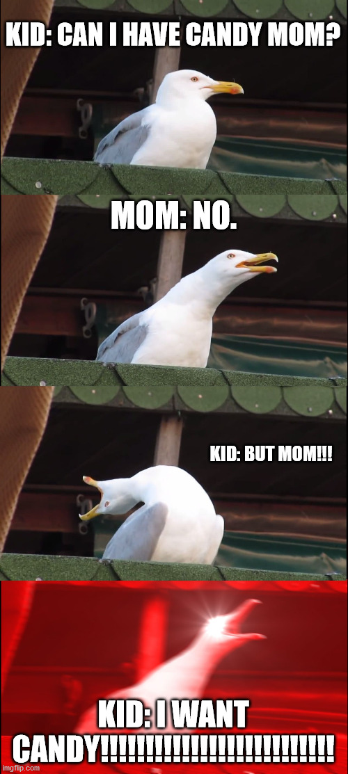 Inhaling Seagull | KID: CAN I HAVE CANDY MOM? MOM: NO. KID: BUT MOM!!! KID: I WANT CANDY!!!!!!!!!!!!!!!!!!!!!!!!!! | image tagged in memes,inhaling seagull | made w/ Imgflip meme maker