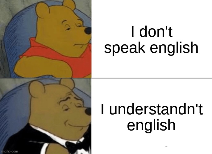 lol | I don't speak english; I understandn't english | image tagged in memes,tuxedo winnie the pooh | made w/ Imgflip meme maker
