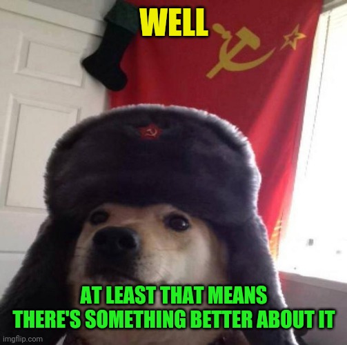 Russian Doge | WELL AT LEAST THAT MEANS THERE'S SOMETHING BETTER ABOUT IT | image tagged in russian doge | made w/ Imgflip meme maker