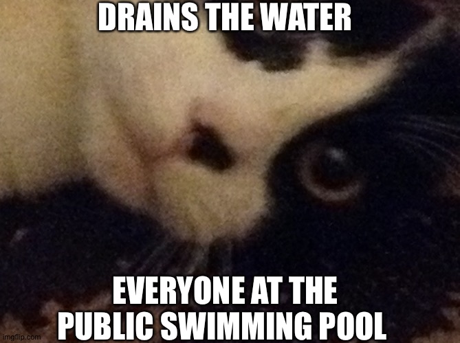 Suprised tom II | DRAINS THE WATER; EVERYONE AT THE PUBLIC SWIMMING POOL | image tagged in suprised tom ii | made w/ Imgflip meme maker