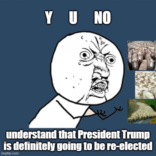 Y U No | Y      U      NO; understand that President Trump
is definitely going to be re-elected | image tagged in y u no,cnn fake news,msm lies,hillary for prison,creepy joe biden,sheeple | made w/ Imgflip meme maker