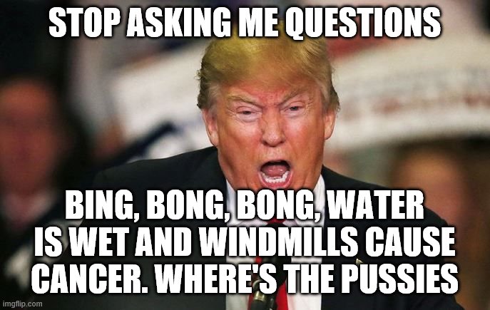 crazy trump | STOP ASKING ME QUESTIONS BING, BONG, BONG, WATER IS WET AND WINDMILLS CAUSE CANCER. WHERE'S THE PUSSIES | image tagged in crazy trump | made w/ Imgflip meme maker