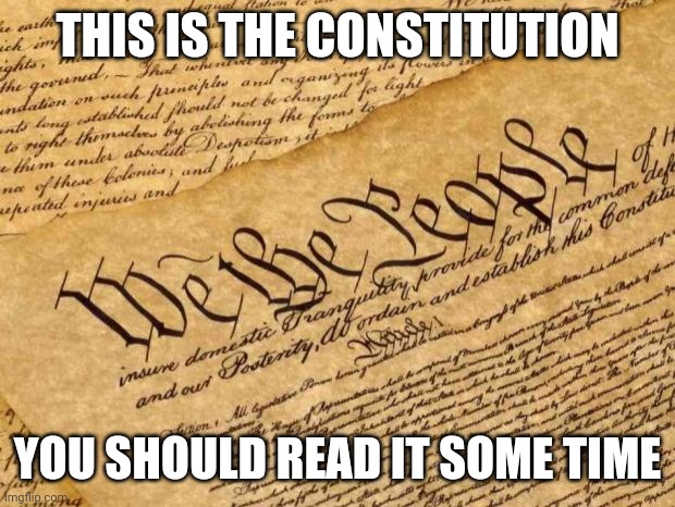 Constitution | THIS IS THE CONSTITUTION YOU SHOULD READ IT SOME TIME | image tagged in constitution | made w/ Imgflip meme maker