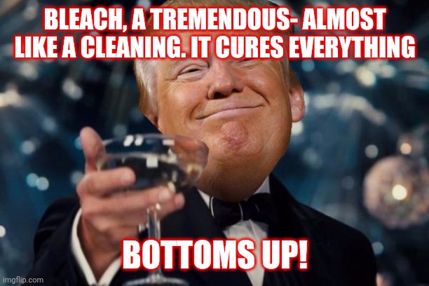 Trump Toast | BLEACH, A TREMENDOUS- ALMOST LIKE A CLEANING. IT CURES EVERYTHING; BOTTOMS UP! | image tagged in trump toast | made w/ Imgflip meme maker