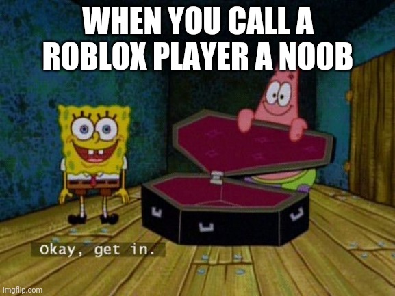 Okay Get In | WHEN YOU CALL A ROBLOX PLAYER A NOOB | image tagged in okay get in | made w/ Imgflip meme maker