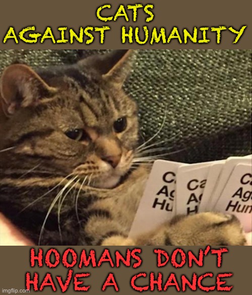 Plotting cat. | CATS AGAINST HUMANITY; HOOMANS DON’T HAVE A CHANCE | image tagged in cats,cards,memes,funny | made w/ Imgflip meme maker