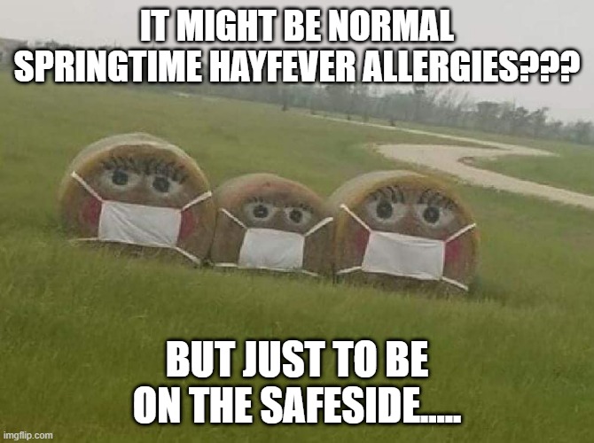 IT MIGHT BE NORMAL SPRINGTIME HAYFEVER ALLERGIES??? BUT JUST TO BE ON THE SAFESIDE..... | made w/ Imgflip meme maker