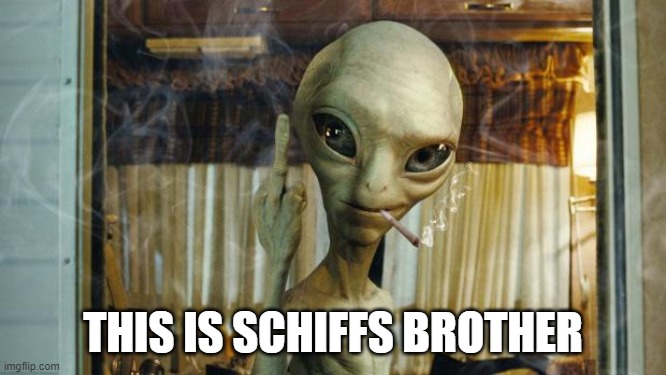 Paul Alien | THIS IS SCHIFFS BROTHER | image tagged in paul alien | made w/ Imgflip meme maker