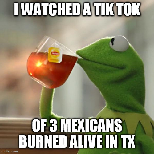 But That's None Of My Business Meme | I WATCHED A TIK TOK; OF 3 MEXICANS BURNED ALIVE IN TX | image tagged in memes,but that's none of my business,kermit the frog | made w/ Imgflip meme maker