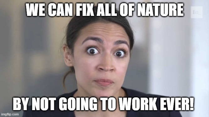 Stupid | WE CAN FIX ALL OF NATURE; BY NOT GOING TO WORK EVER! | image tagged in crazy alexandria ocasio-cortez | made w/ Imgflip meme maker
