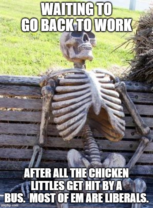 Chicken little time. | WAITING TO GO BACK TO WORK; AFTER ALL THE CHICKEN LITTLES GET HIT BY A BUS.  MOST OF EM ARE LIBERALS. | image tagged in memes,waiting skeleton | made w/ Imgflip meme maker