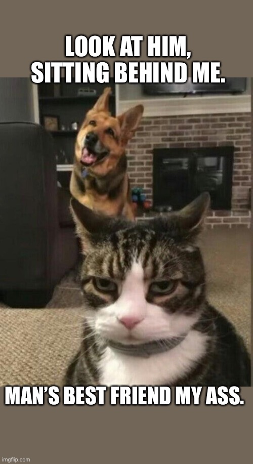 Disgusted cat hates dog | LOOK AT HIM, SITTING BEHIND ME. MAN’S BEST FRIEND MY ASS. | image tagged in disgusted cat hates dog | made w/ Imgflip meme maker