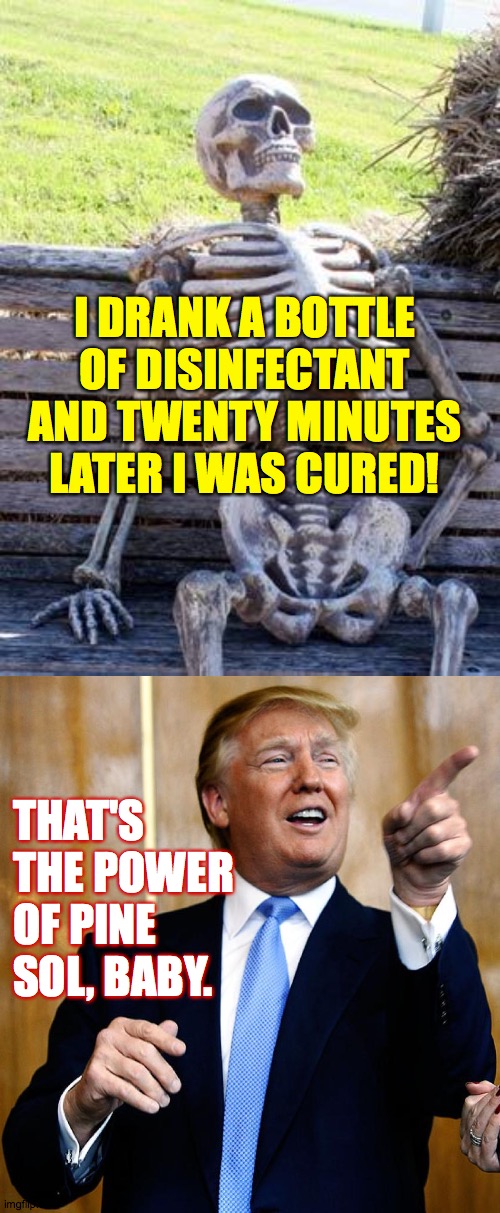 Mr. Clean | I DRANK A BOTTLE OF DISINFECTANT AND TWENTY MINUTES LATER I WAS CURED! THAT'S THE POWER OF PINE SOL, BABY. | image tagged in memes,waiting skeleton,donal trump birthday | made w/ Imgflip meme maker