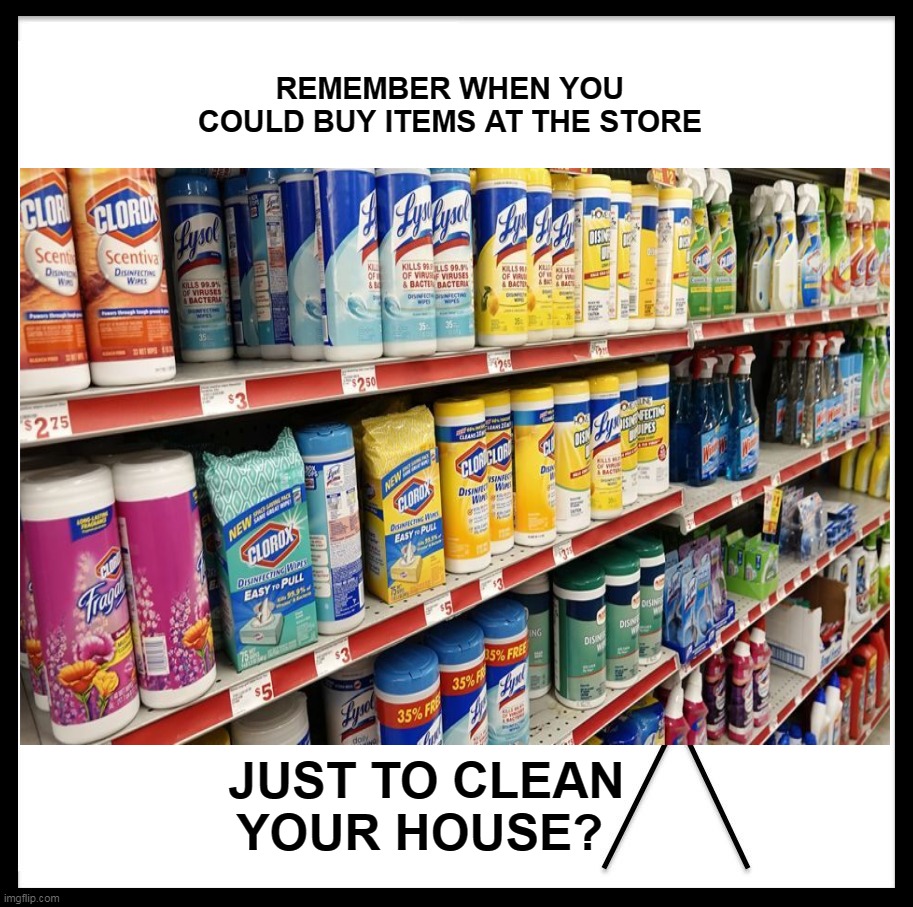 Wipes | REMEMBER WHEN YOU COULD BUY ITEMS AT THE STORE; JUST TO CLEAN YOUR HOUSE? | image tagged in clorox,lysol,cleaning supplies,covid19,coronavirus,quarantine | made w/ Imgflip meme maker