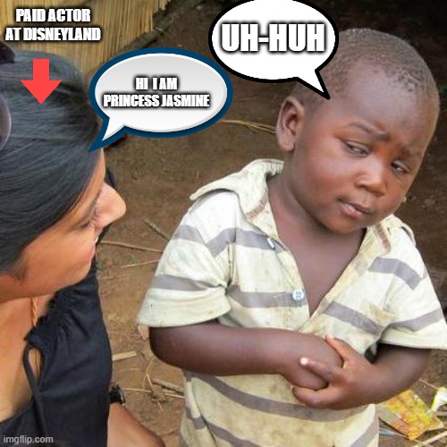 Third World Skeptical Kid | PAID ACTOR AT DISNEYLAND; UH-HUH; HI  I AM PRINCESS JASMINE | image tagged in memes,third world skeptical kid | made w/ Imgflip meme maker