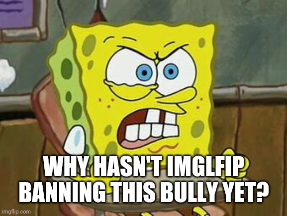 Pissed off spongebob | WHY HASN'T IMGLFIP BANNING THIS BULLY YET? | image tagged in pissed off spongebob | made w/ Imgflip meme maker