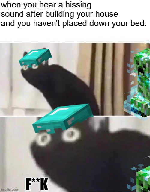 ssssssssssss | when you hear a hissing sound after building your house and you haven't placed down your bed:; F**K | image tagged in oh no black cat,minecraft,minecraft creeper | made w/ Imgflip meme maker