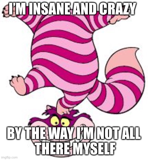 Chesire cat | I’M INSANE AND CRAZY; BY THE WAY I’M NOT ALL
 THERE MYSELF | image tagged in chesire cat | made w/ Imgflip meme maker