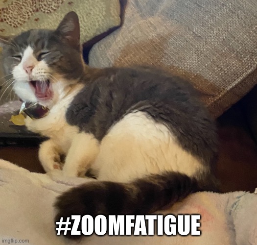Zoom fatigue | #ZOOMFATIGUE | image tagged in abby | made w/ Imgflip meme maker