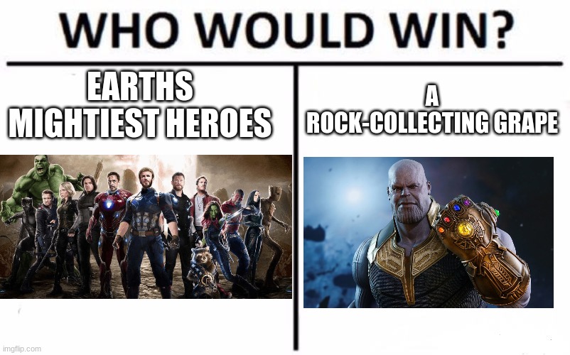 technically, they both lost | EARTHS MIGHTIEST HEROES; A ROCK-COLLECTING GRAPE | image tagged in memes,who would win | made w/ Imgflip meme maker