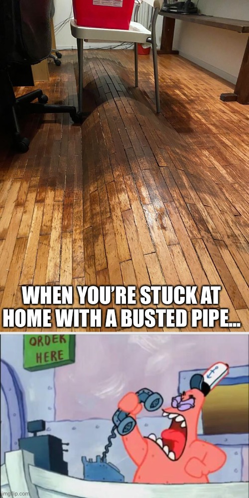 What do you mean you can’t come! | WHEN YOU’RE STUCK AT HOME WITH A BUSTED PIPE... | image tagged in no this is patrick | made w/ Imgflip meme maker