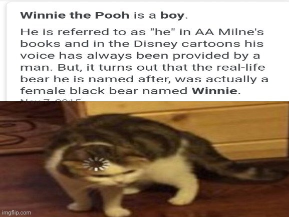 So I am confusion | image tagged in confusion,winnie the pooh,loading,oh wow are you actually reading these tags,nice | made w/ Imgflip meme maker