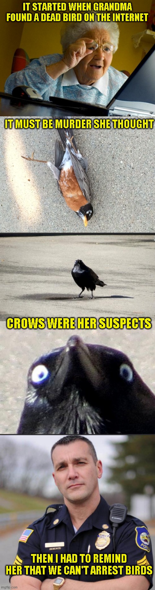 A very short mystery | IT STARTED WHEN GRANDMA FOUND A DEAD BIRD ON THE INTERNET; IT MUST BE MURDER SHE THOUGHT; CROWS WERE HER SUSPECTS; THEN I HAD TO REMIND HER THAT WE CAN'T ARREST BIRDS | image tagged in just a joke,short mysteries | made w/ Imgflip meme maker