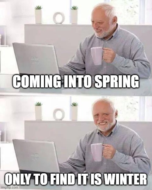 im sorry for posting weather memes, this is for science. | COMING INTO SPRING; ONLY TO FIND IT IS WINTER | image tagged in memes,hide the pain harold | made w/ Imgflip meme maker