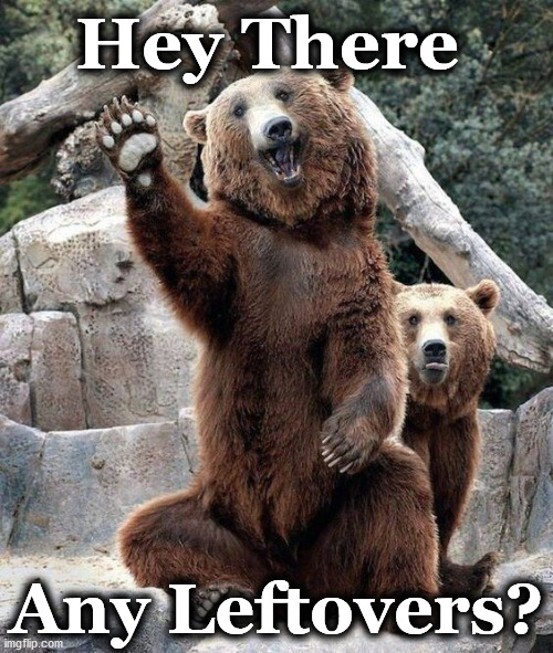 bear | Hey There; Any Leftovers? | image tagged in bear | made w/ Imgflip meme maker