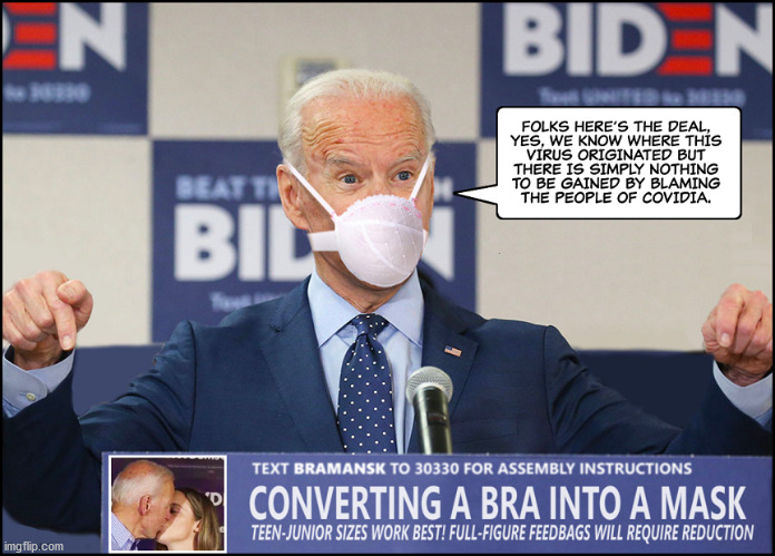 Joe Biden wears a unique mask during Coronavirus Pandemic | image tagged in biden,joe biden,sleepy,creepy | made w/ Imgflip meme maker